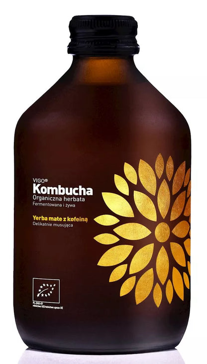 VIGO Kombucha Yerba Mate (330ml) - BIO