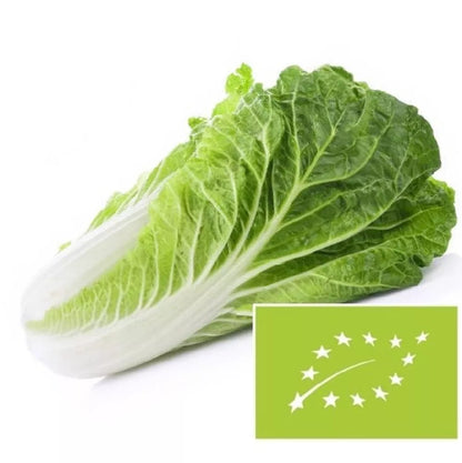 Kapusta pekińska 1 szt - BIO
