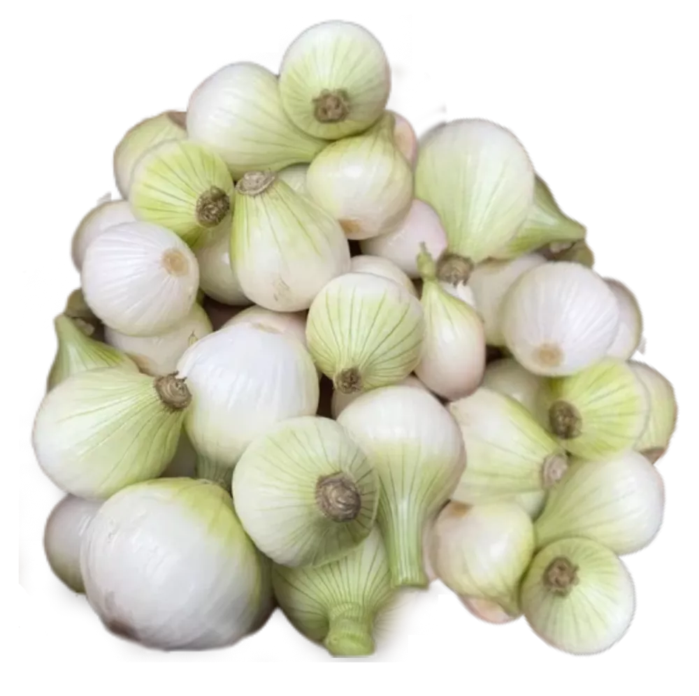 Cebula ekologiczna BIAŁA (CUKROWA) 1kg - BIO (PL)