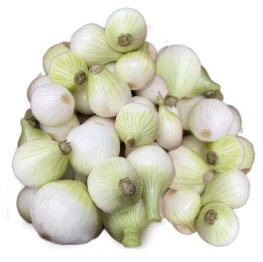 Cebula ekologiczna BIAŁA (CUKROWA) 1kg - BIO (PL)