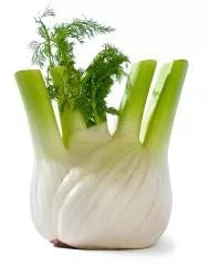 Koper włoski ekologiczny - Fenkuł (500g) - BIO (I)