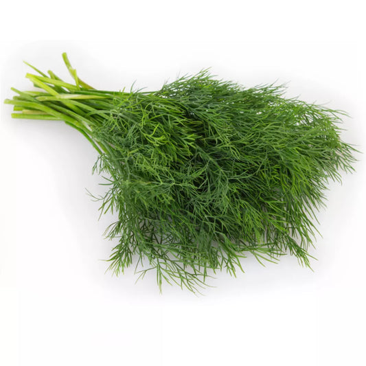 Natka pietruszki ekologiczna pęczek 1szt. - BIO (PL)