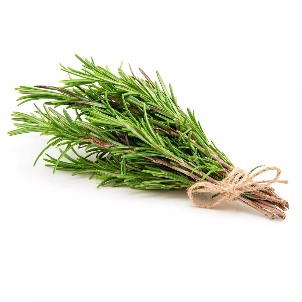 Rozmaryn ekologiczny (pęczek) - BIO (I)